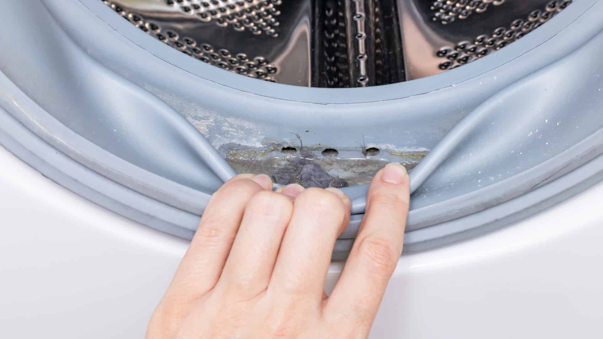 Featured image for “How to Clean Front Load Washer Gasket”