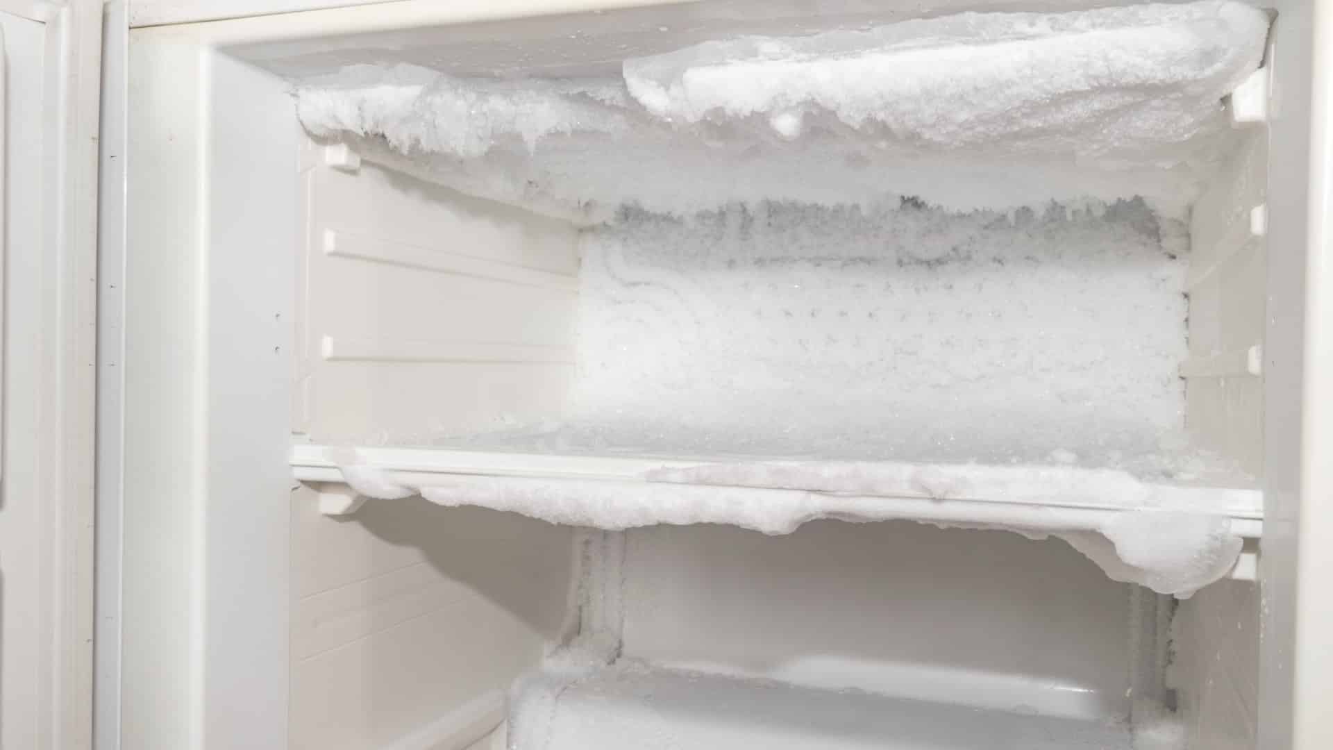 Featured image for “What Temperature Should a Freezer Be Set At?”